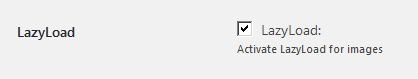 Image of lazyload checkbox